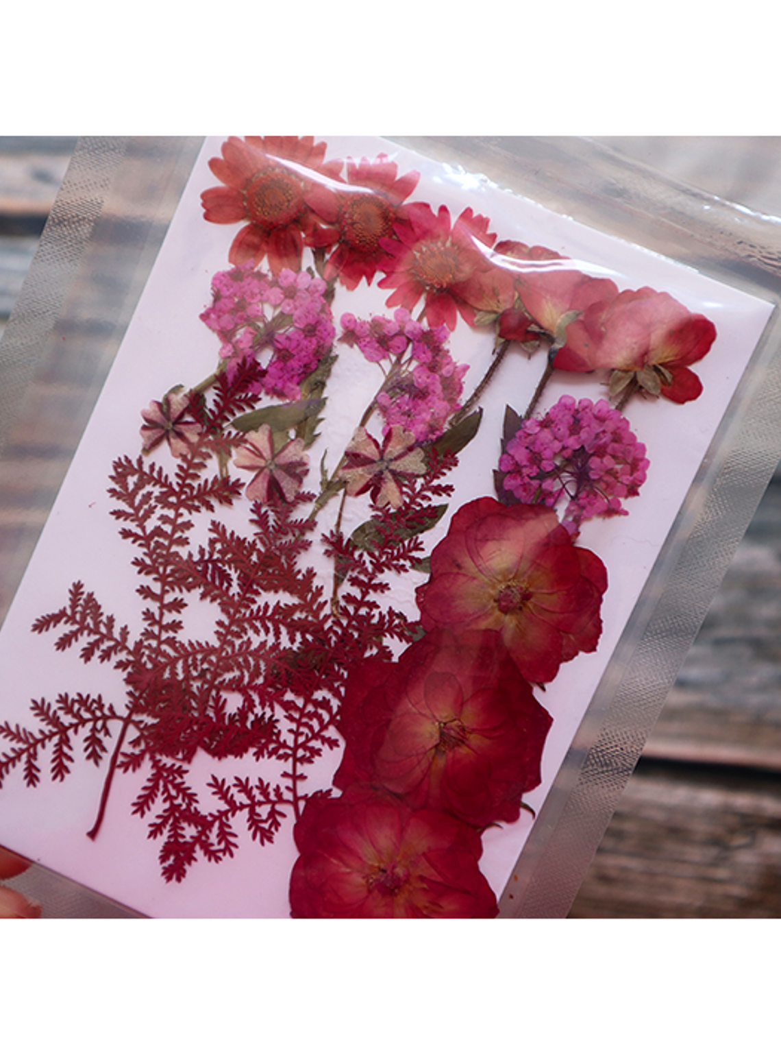 Set Flores Secas Rojo Pasión (II) - 18 pzas 5