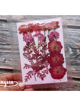 Set Flores Secas Rojo Pasión (II) - 18 pzas