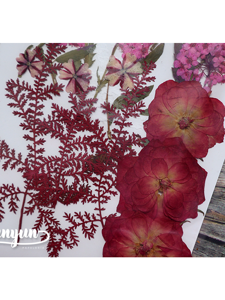 Set Flores Secas Rojo Pasión (II) - 18 pzas 6