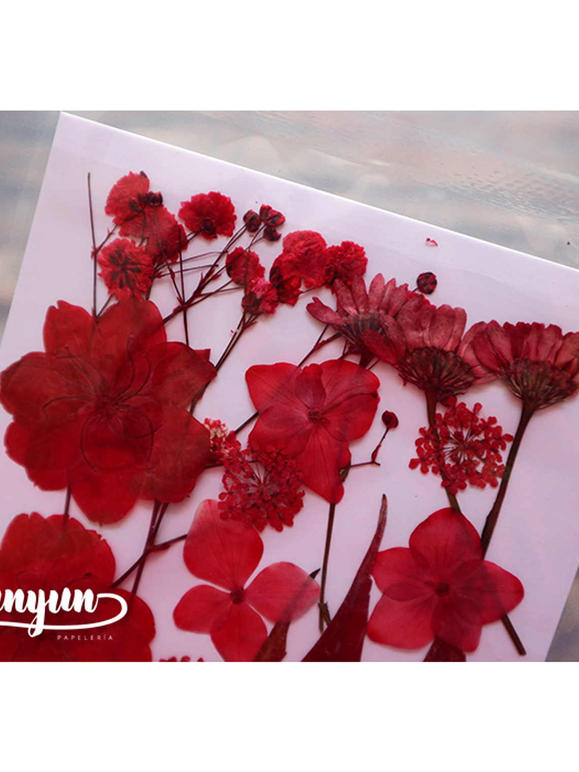 Set Flores Secas Rojo Pasión (III) - 18 pzas 2