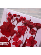 Set Flores Secas Rojo Pasión (III) - 18 pzas - Miniatura 2