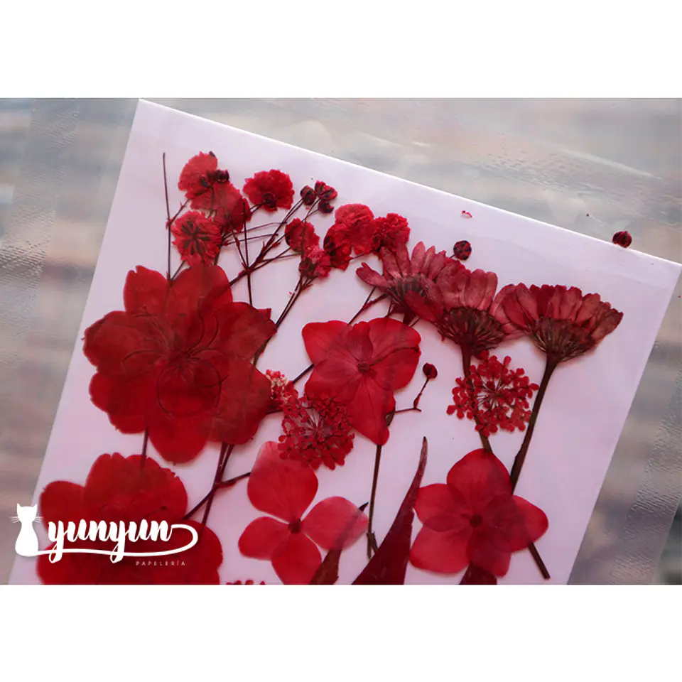 Set Flores Secas Rojo Pasión (III) - 18 pzas 2