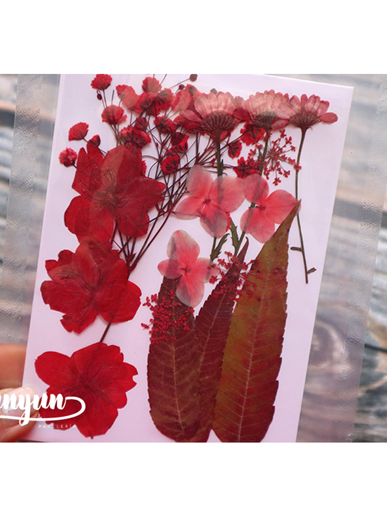 Set Flores Secas Rojo Pasión (III) - 18 pzas 3