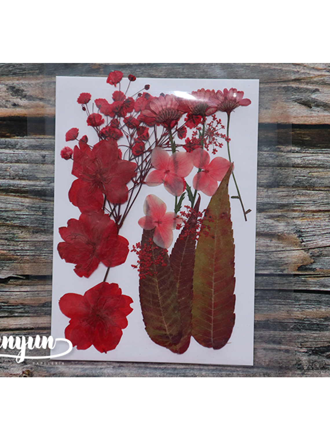 Set Flores Secas Rojo Pasión (III) - 18 pzas 6