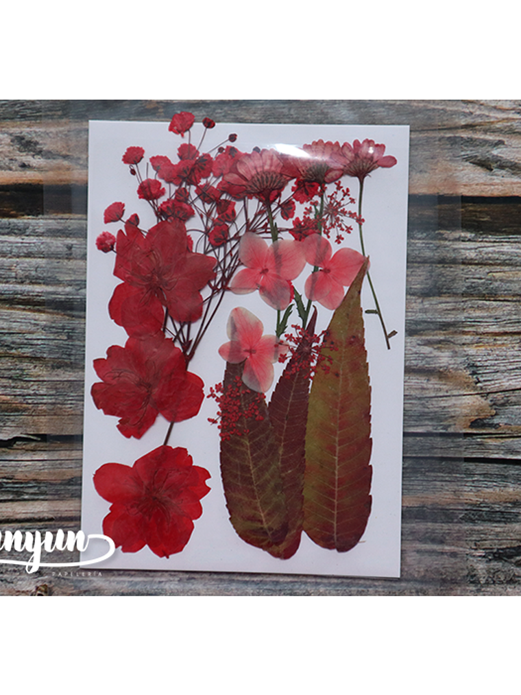 Set Flores Secas Rojo Pasión (III) - 18 pzas 6