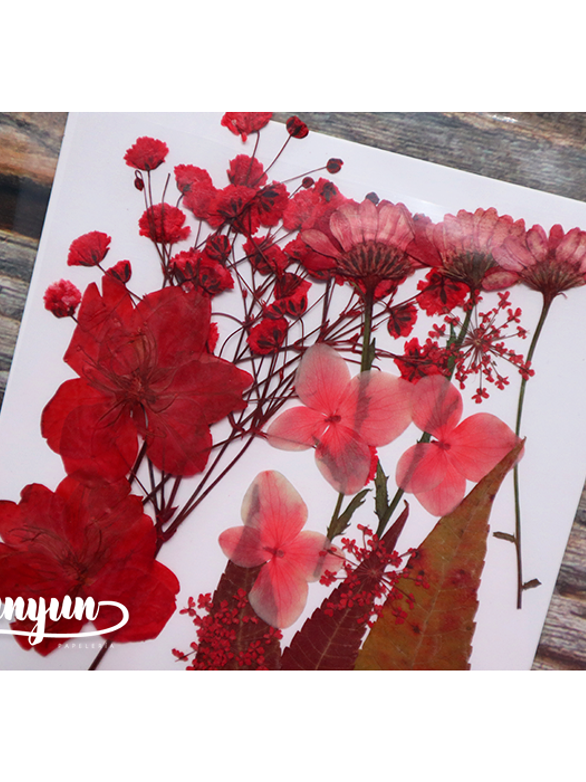 Set Flores Secas Rojo Pasión (III) - 18 pzas 4