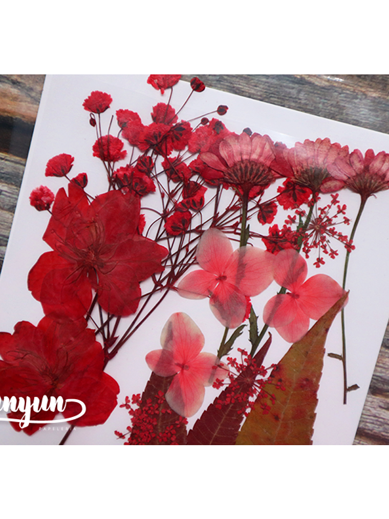 Set Flores Secas Rojo Pasión (III) - 18 pzas 4