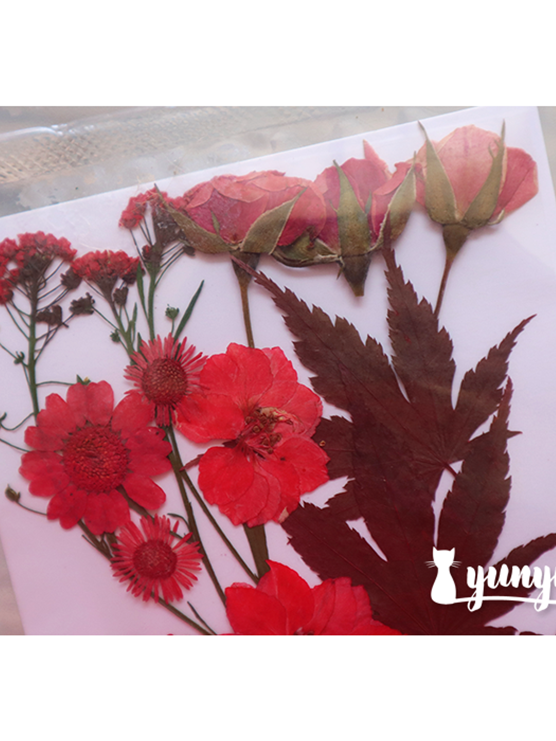 Set Flores Secas Rojo Pasión (IV) - 18 pzas 2