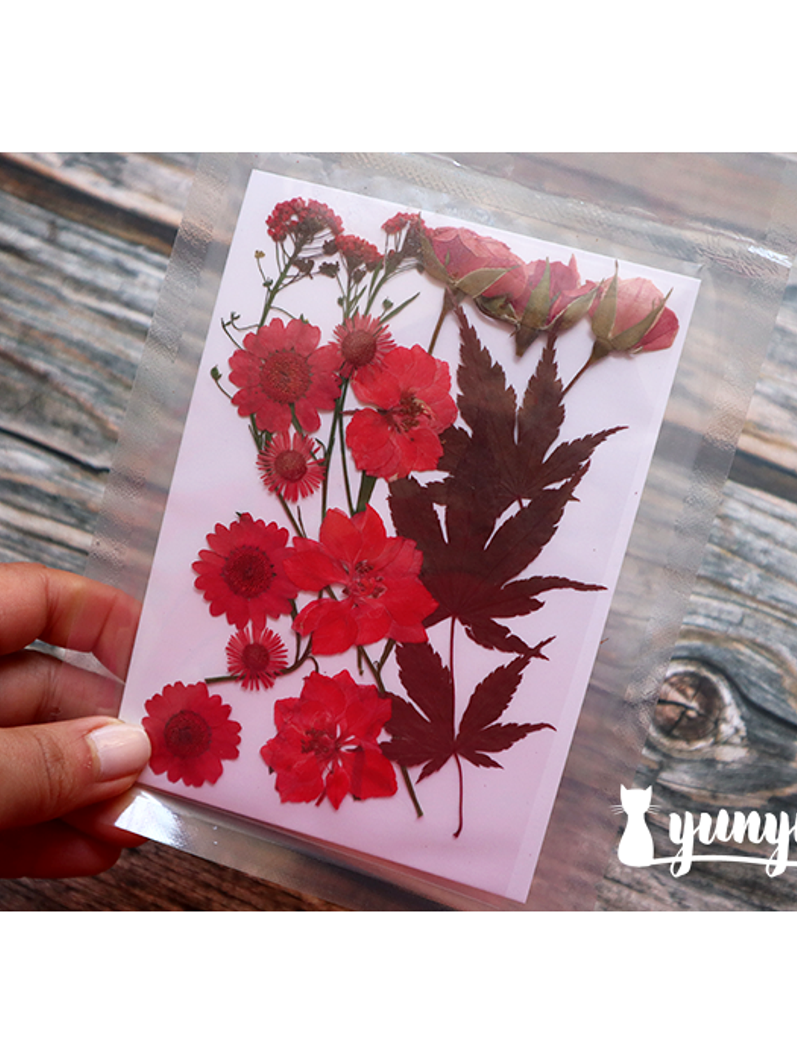 Set Flores Secas Rojo Pasión (IV) - 18 pzas 1