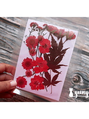 Set Flores Secas Rojo Pasión (IV) - 18 pzas