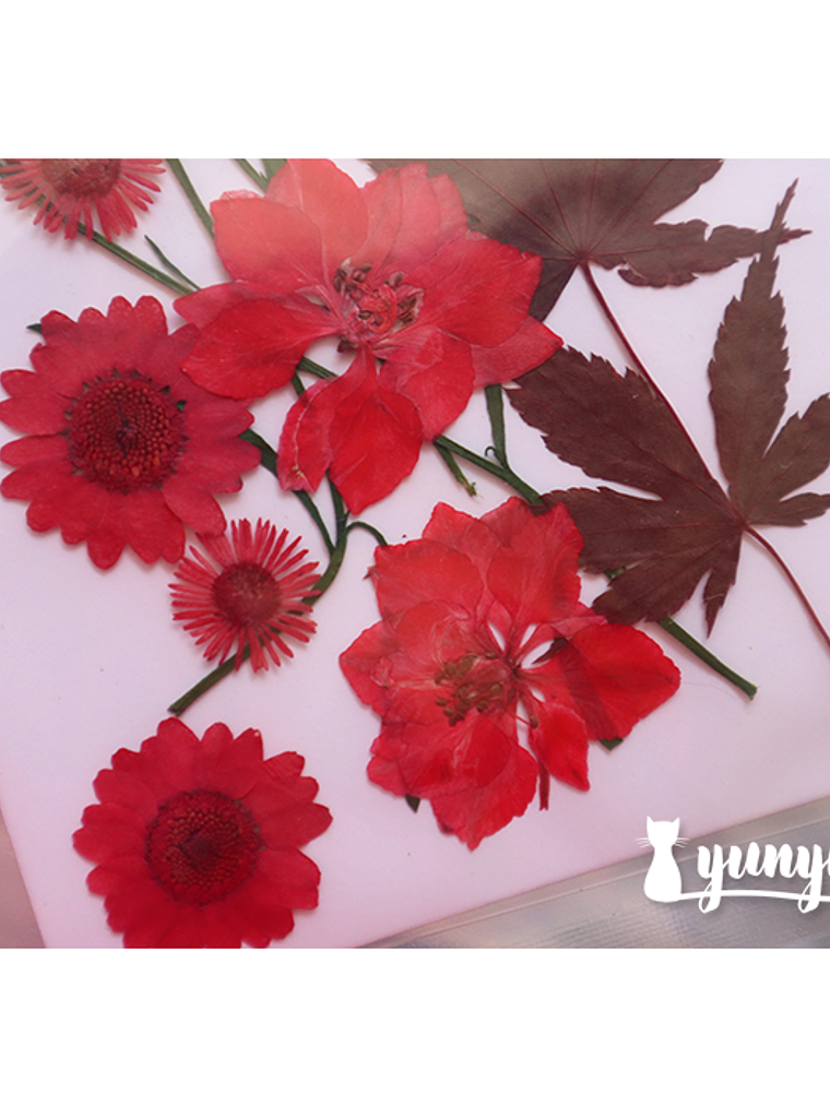 Set Flores Secas Rojo Pasión (IV) - 18 pzas 3