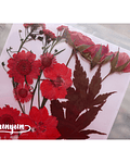 Set Flores Secas Rojo Pasión (IV) - 18 pzas