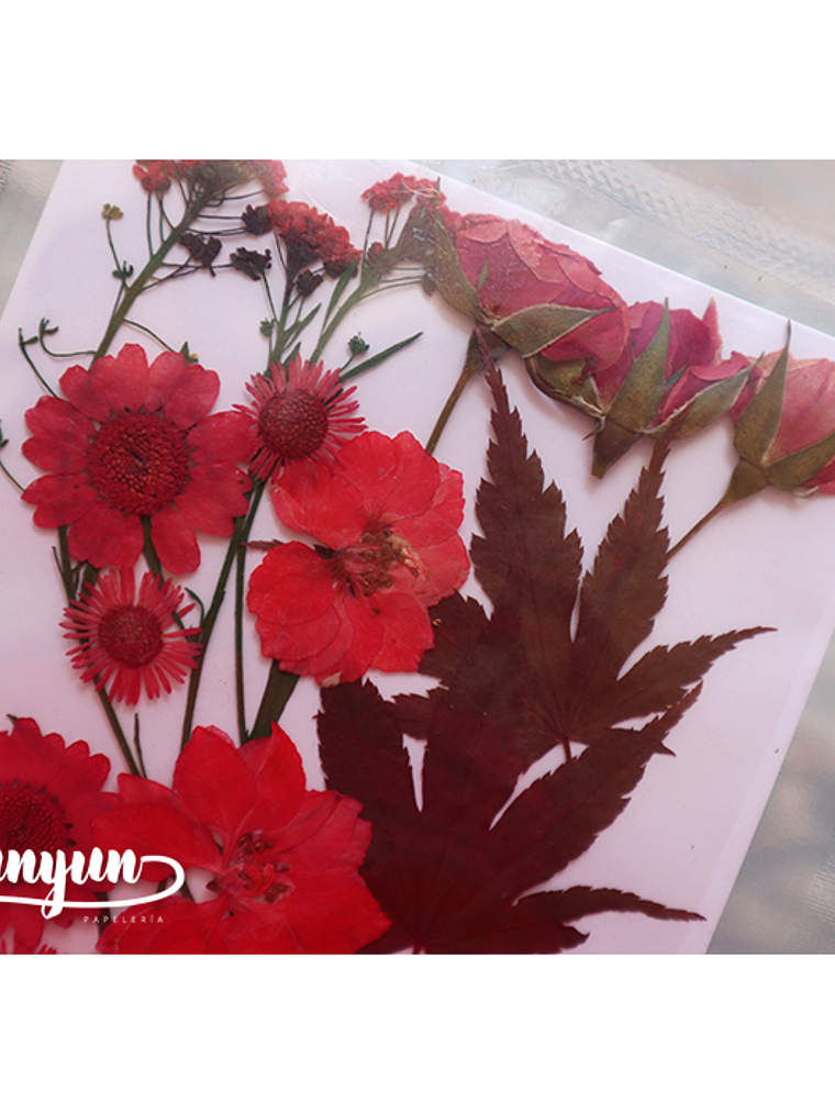 Set Flores Secas Rojo Pasión (IV) - 18 pzas 5