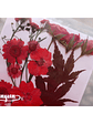 Set Flores Secas Rojo Pasión (IV) - 18 pzas - Miniatura 5