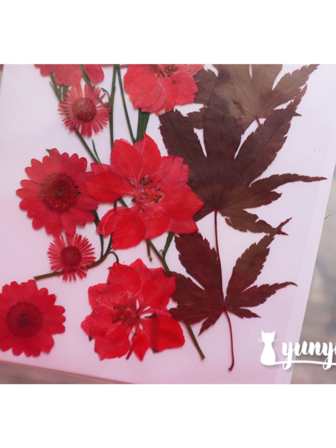 Set Flores Secas Rojo Pasión (IV) - 18 pzas 6