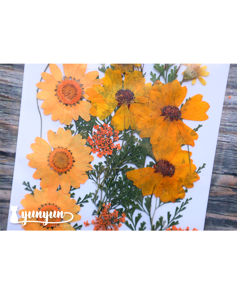 Set Flores Secas Naranja Alegre - 19 pzas