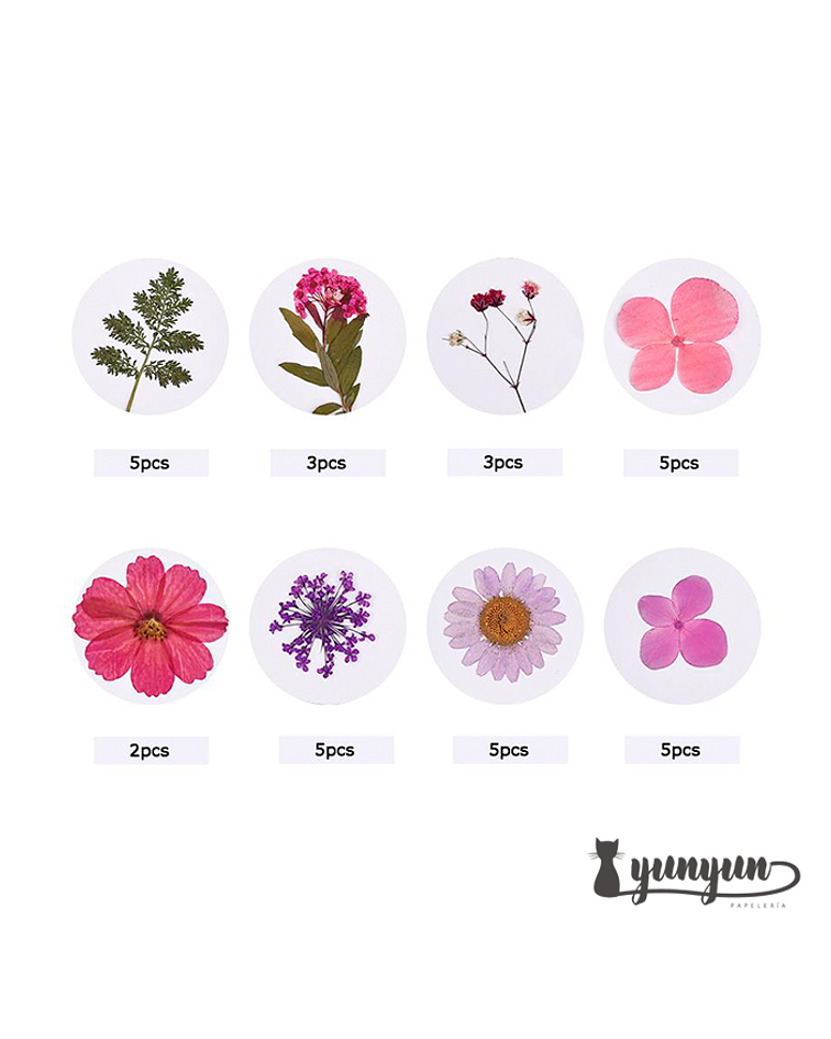Set Flores Secas Mix Rosa Morado - 33 pzas