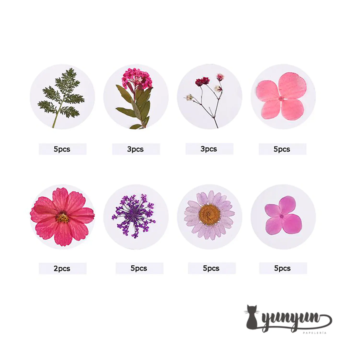 Set Flores Secas Mix Rosa Morado - 33 pzas 4