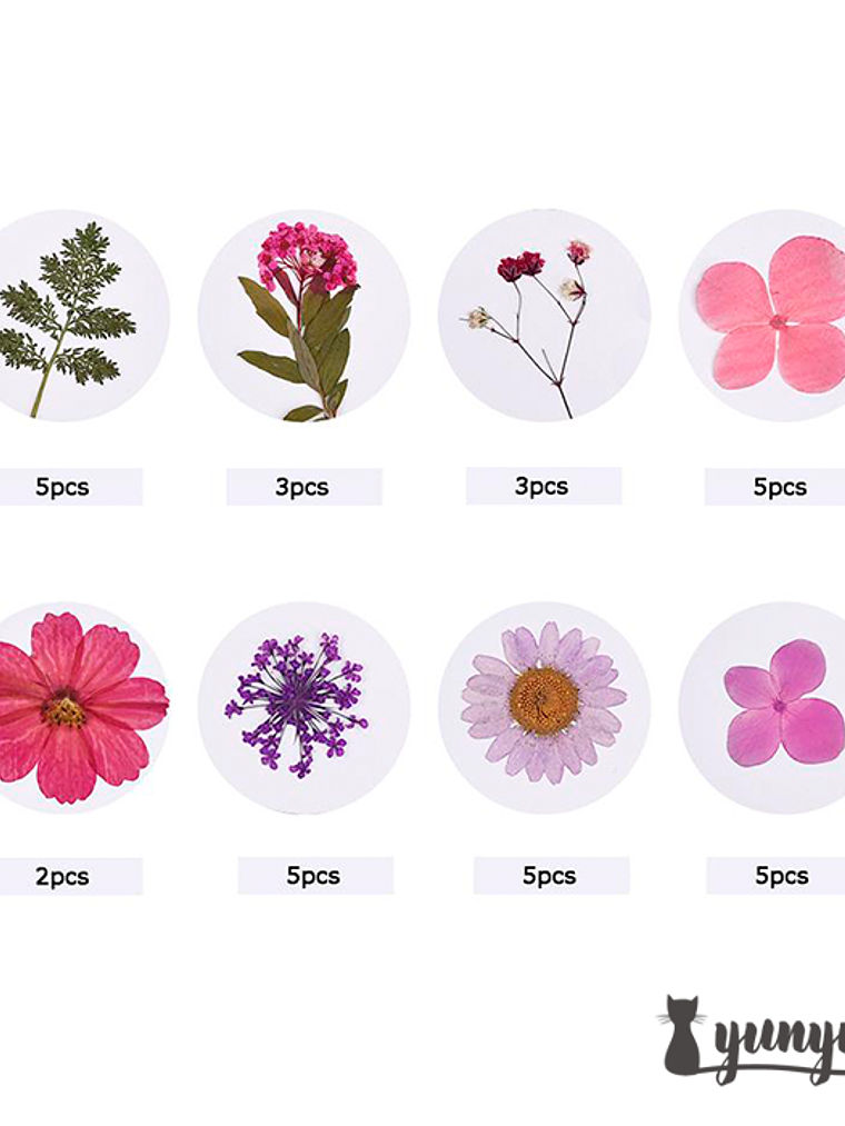 Set Flores Secas Mix Rosa Morado - 33 pzas 4