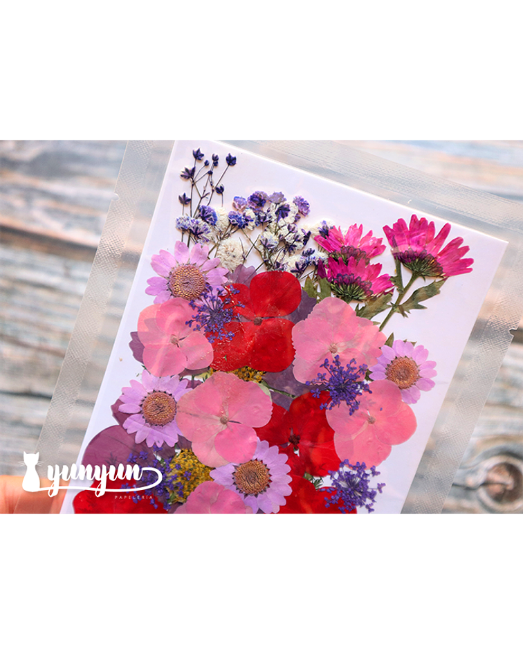 Set Flores Secas Mix Rosa Morado - 33 pzas