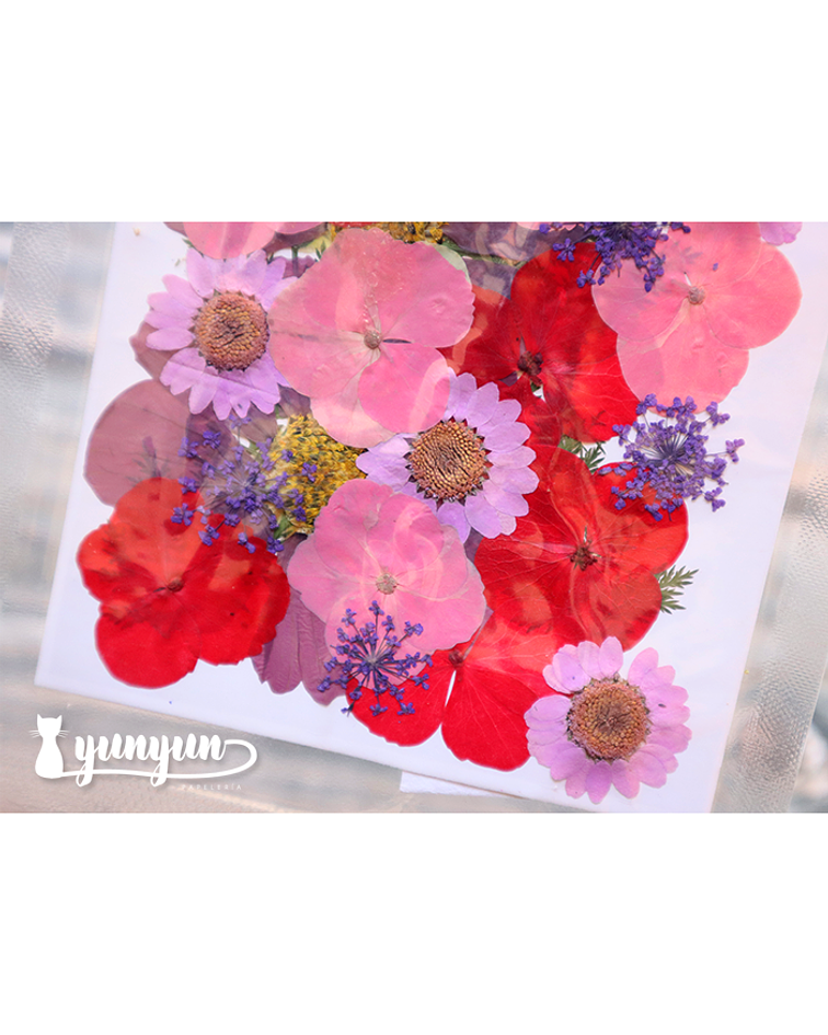 Set Flores Secas Mix Rosa Morado - 33 pzas