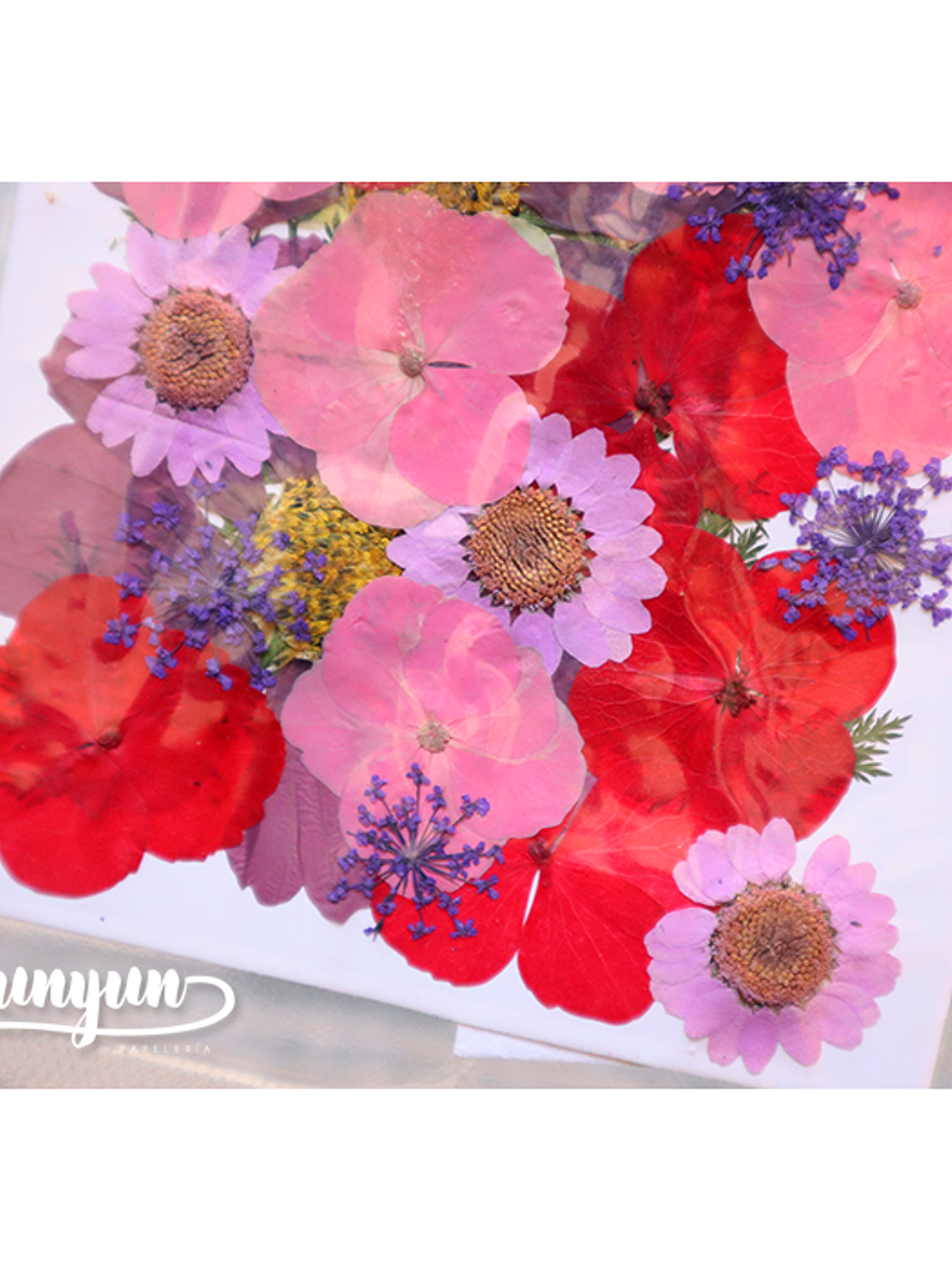 Set Flores Secas Mix Rosa Morado - 33 pzas 3