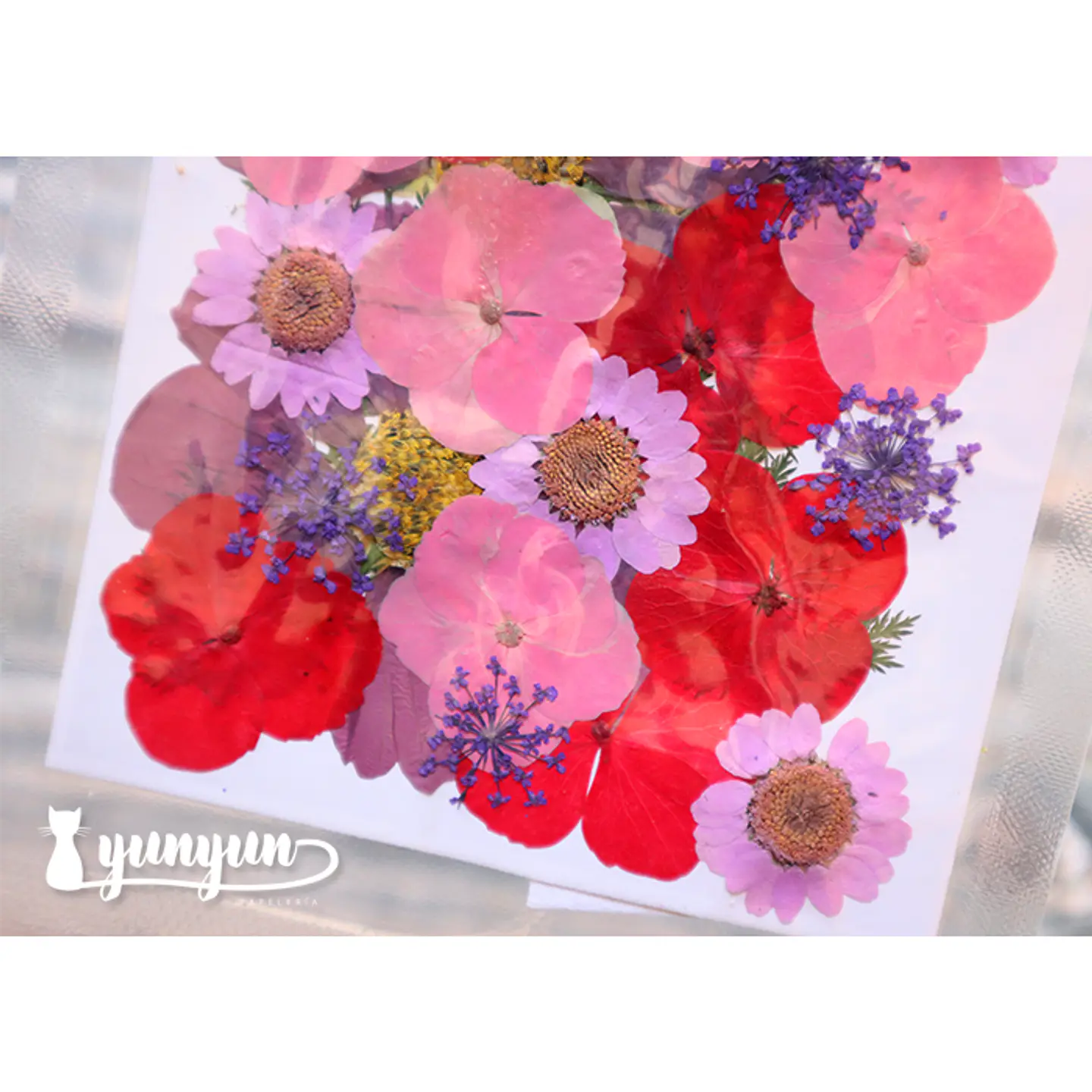Set Flores Secas Mix Rosa Morado - 33 pzas 3