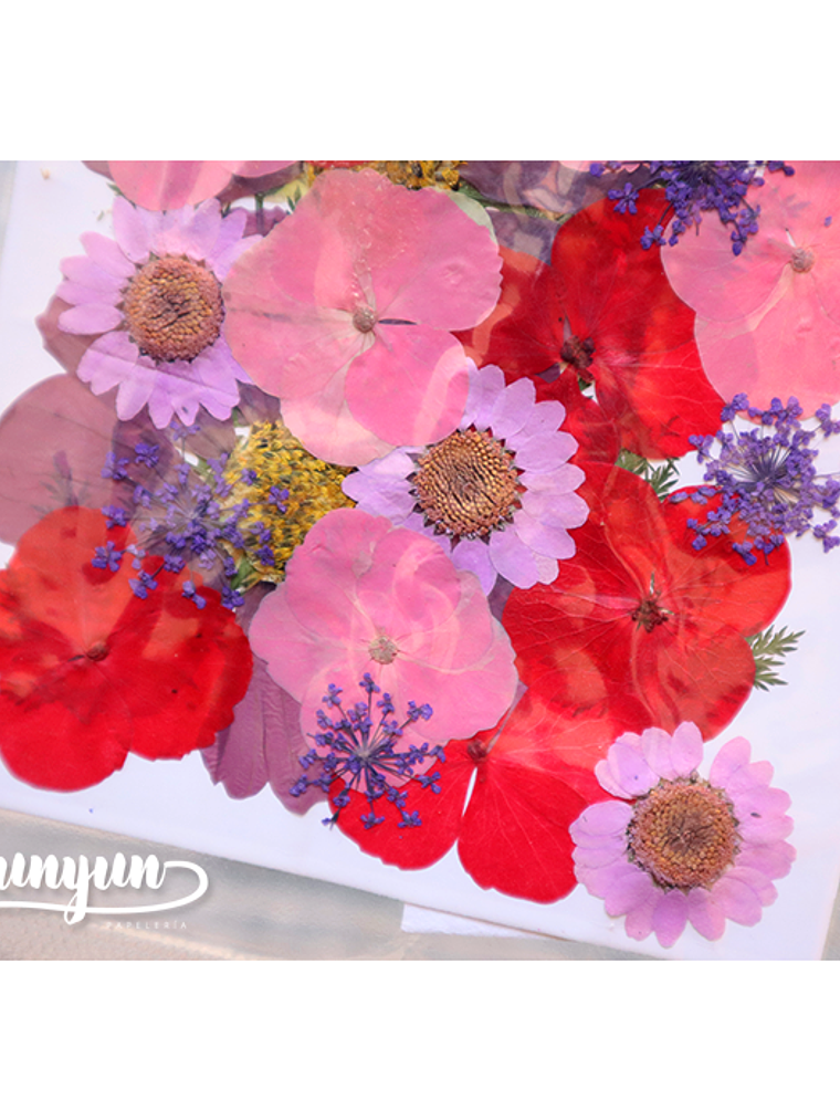 Set Flores Secas Mix Rosa Morado - 33 pzas 3