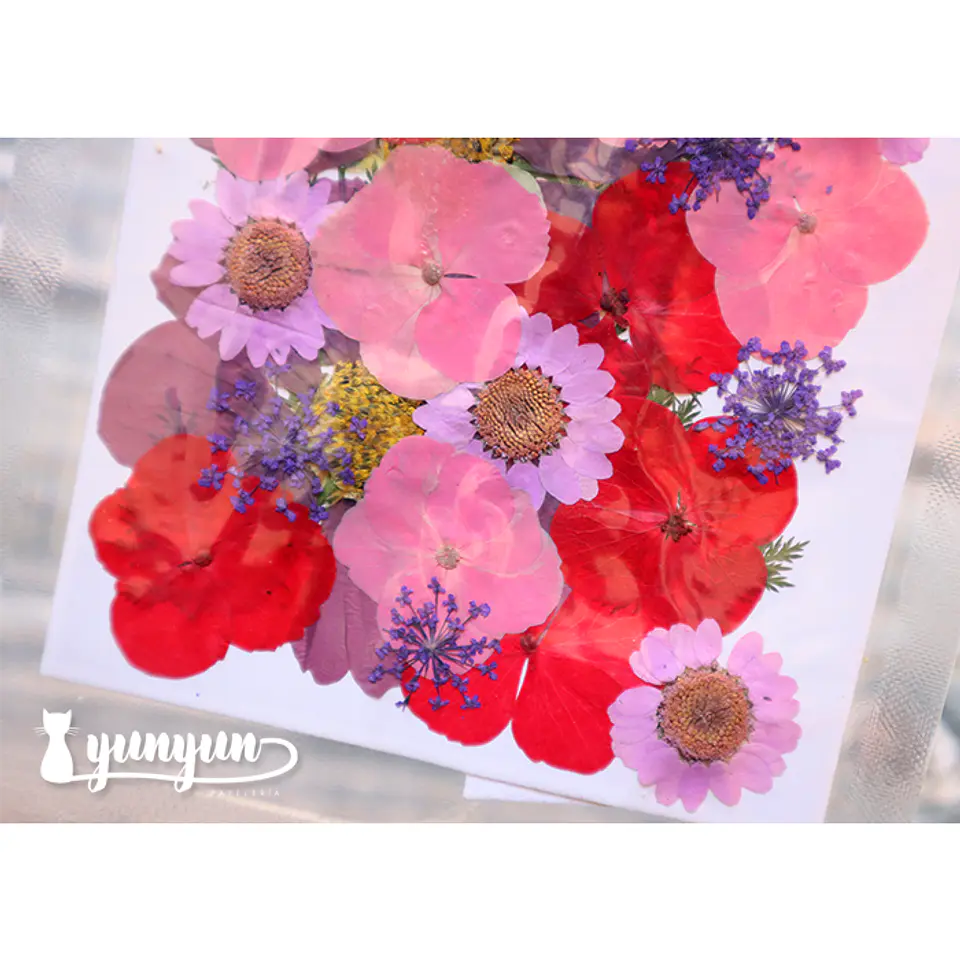 Set Flores Secas Mix Rosa Morado - 33 pzas 3