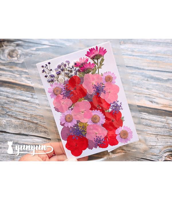 Set Flores Secas Mix Rosa Morado - 33 pzas