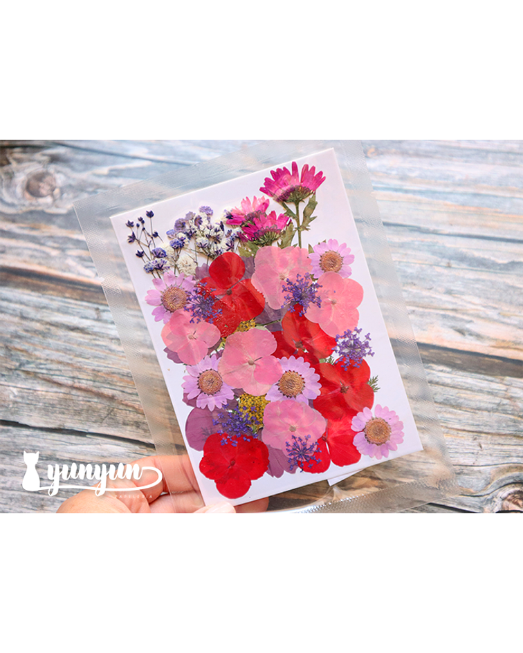 Set Flores Secas Mix Rosa Morado - 33 pzas