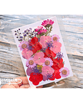Set Flores Secas Mix Rosa Morado - 33 pzas