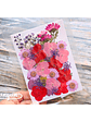 Set Flores Secas Mix Rosa Morado - 33 pzas - Miniatura 1