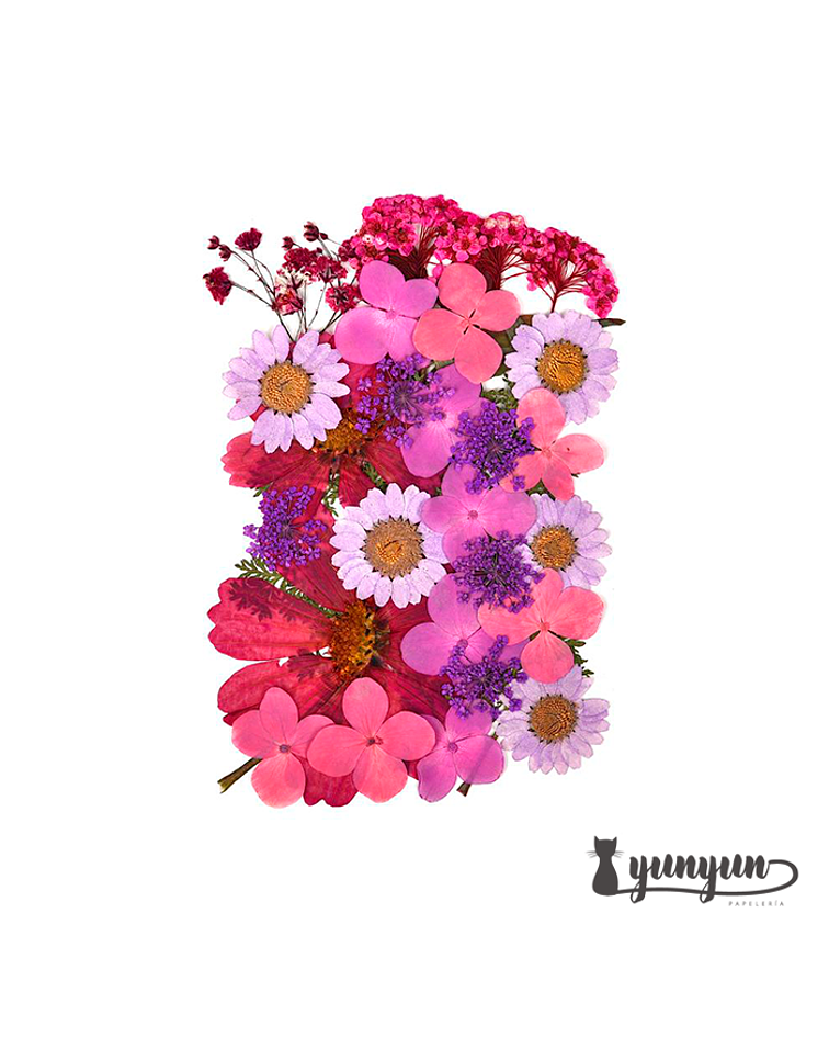 Set Flores Secas Mix Rosa Morado - 33 pzas