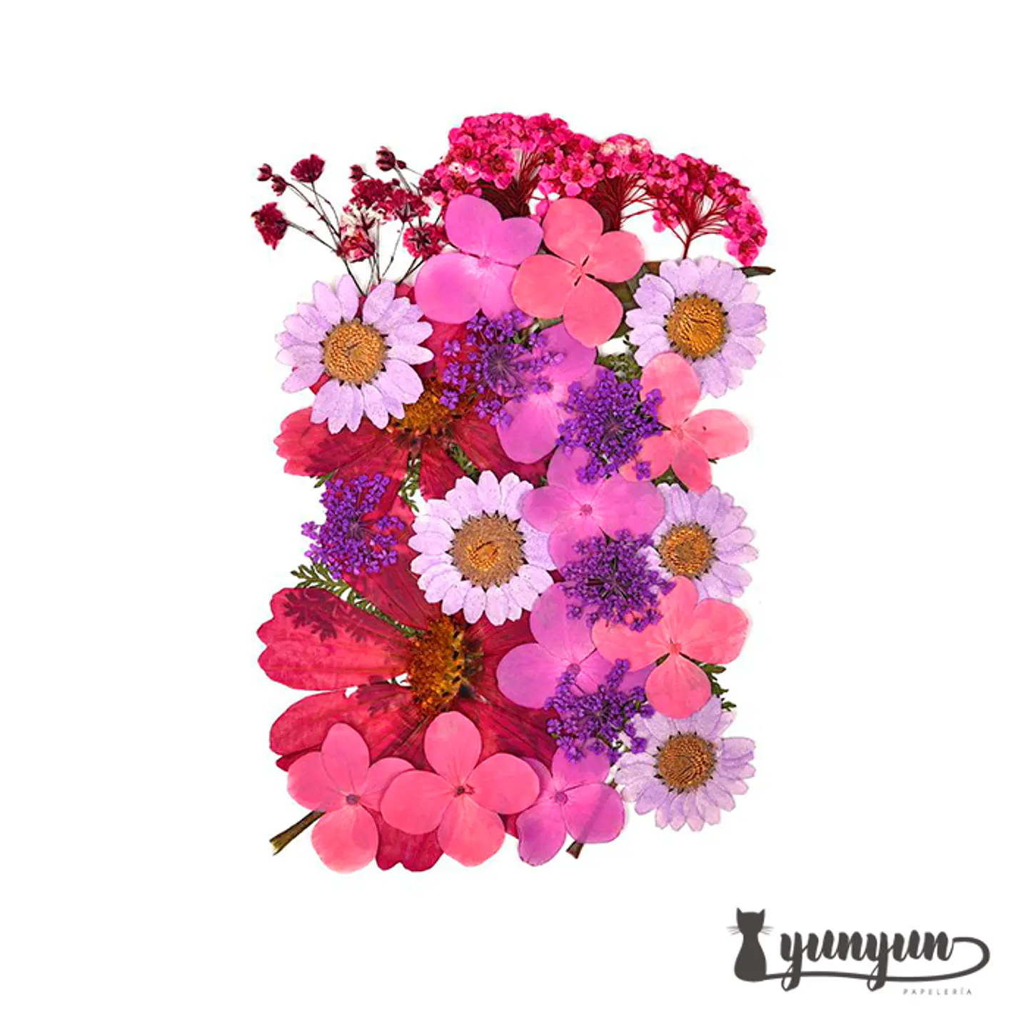 Set Flores Secas Mix Rosa Morado - 33 pzas 5