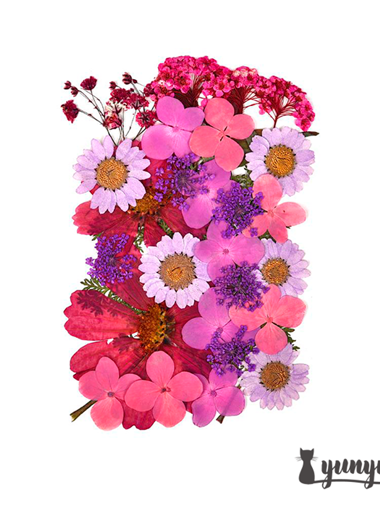Set Flores Secas Mix Rosa Morado - 33 pzas 5