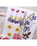 Set Flores Secas Colores Primavera  - 21 pzas