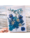 Set Flores Secas Azul Intenso - 18 pzas