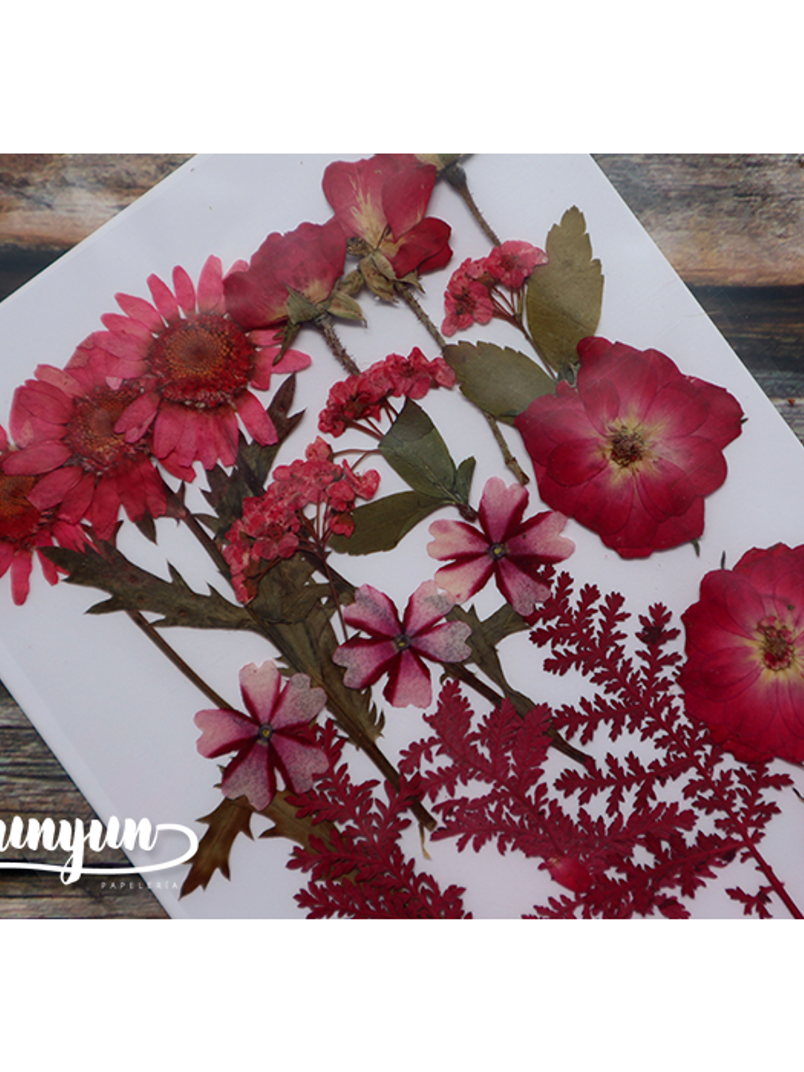 Set Flores Secas Rojo Pasión (II) - 18 pzas 2