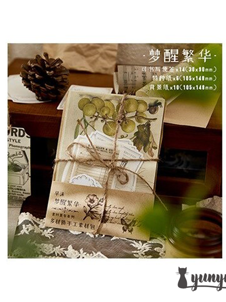 Deco Paper Vintage - 30 pzas 13