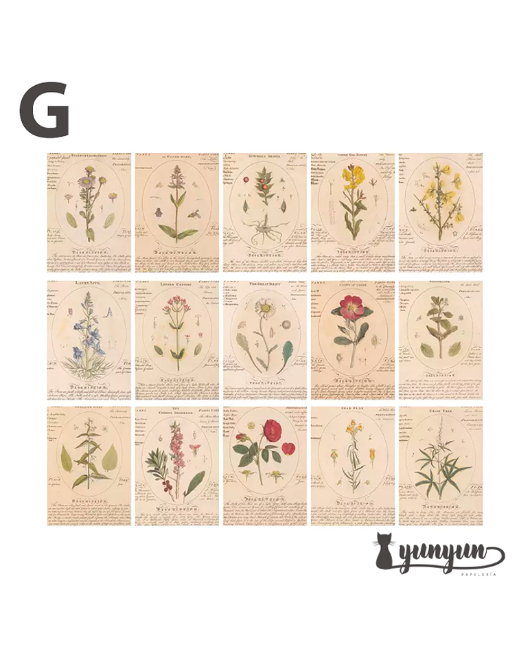 Retro Inspiration Material Paper - 30 pzas