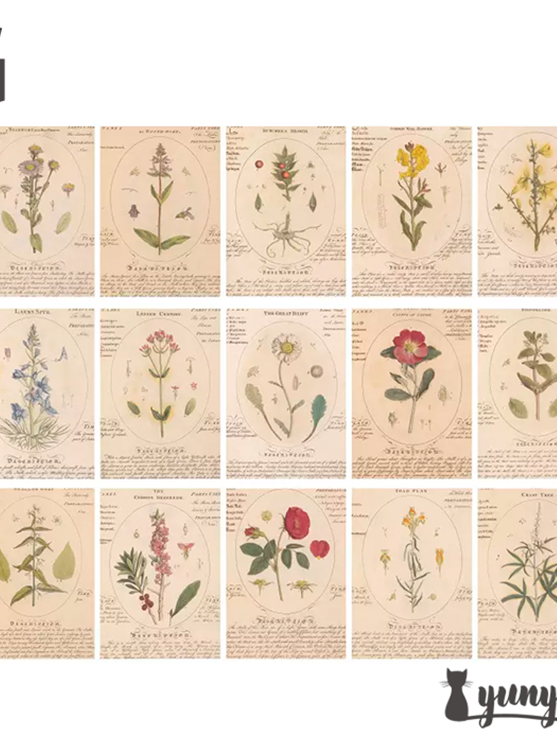 Retro Inspiration Material Paper - 30 pzas 17