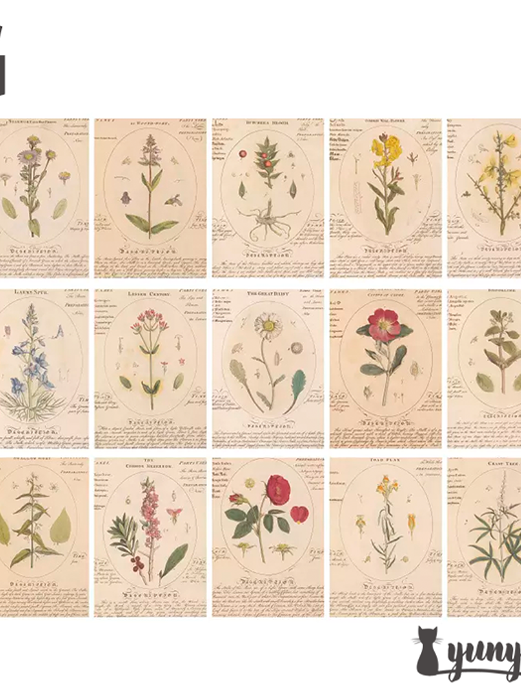 Retro Inspiration Material Paper - 30 pzas 17