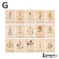 Retro Inspiration Material Paper - 30 pzas - Miniatura 17