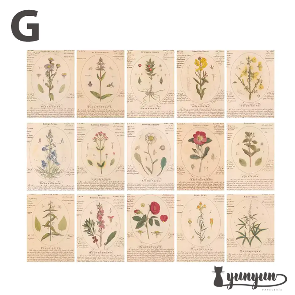 Retro Inspiration Material Paper - 30 pzas 17