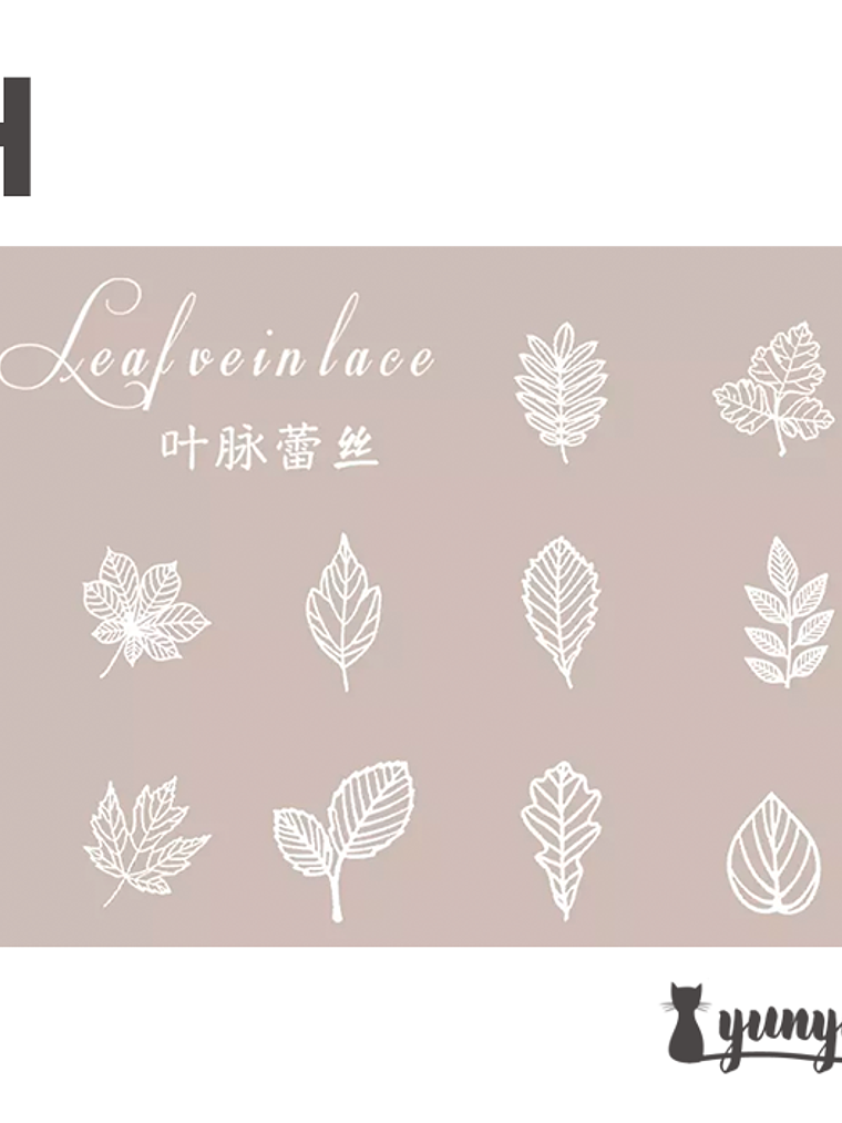 Set Blondas de Papel II - 10 pzas 16