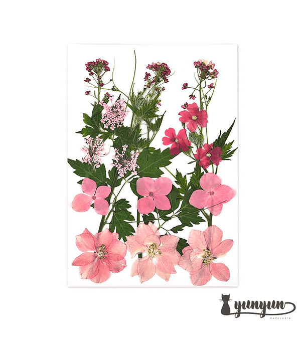 Set Flores Secas Pink Life - 18 pzas