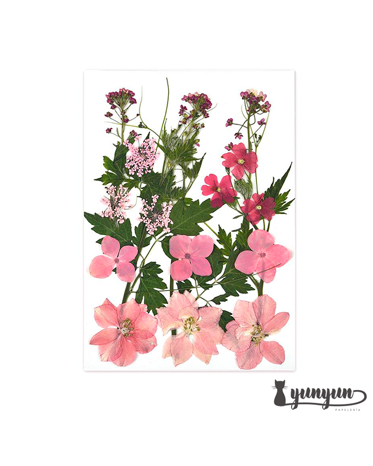 Set Flores Secas Pink Life - 18 pzas