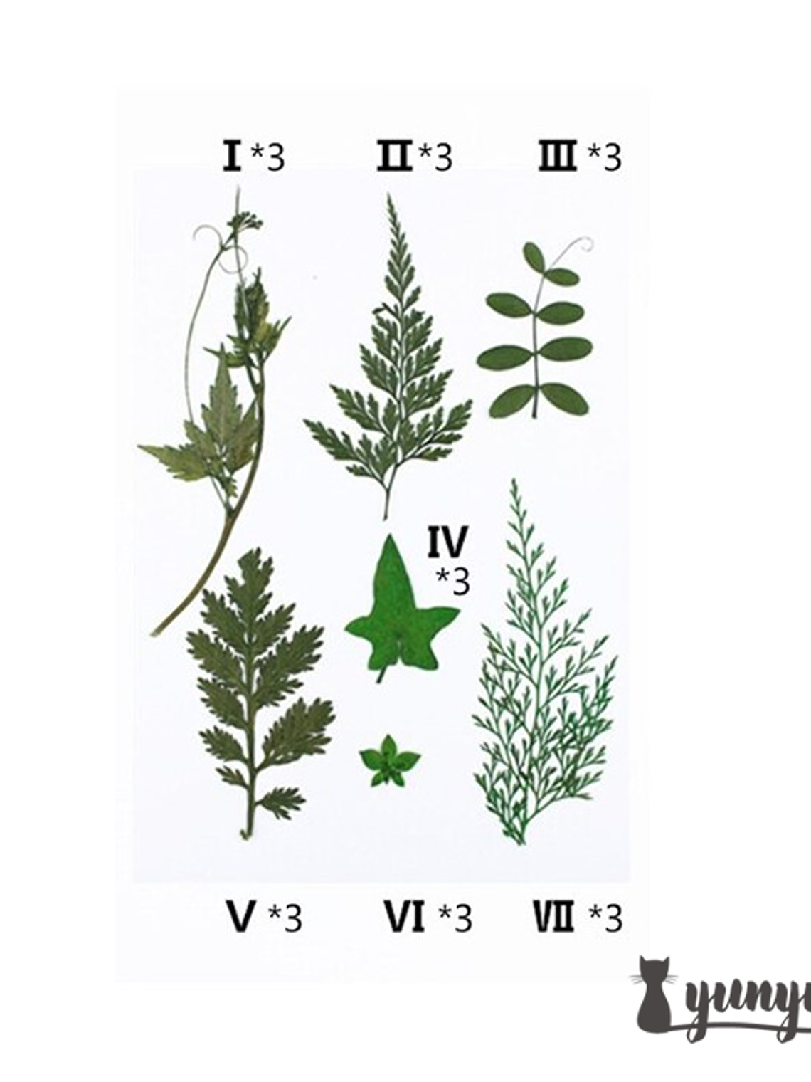 Set Hojas Secas II - 21 pzas 2