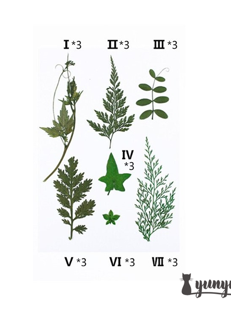 Set Hojas Secas II - 21 pzas 2